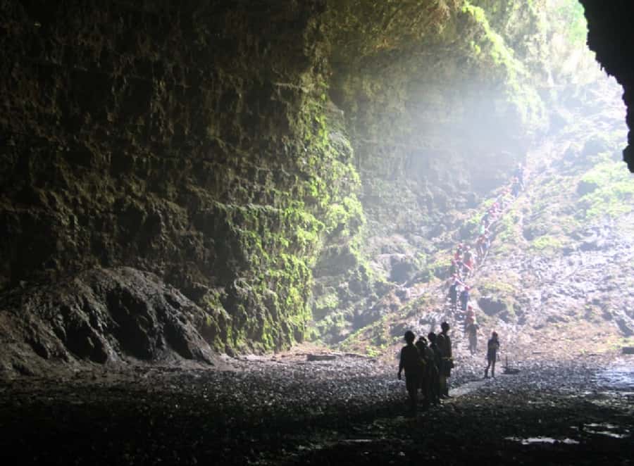 Yogyakarta: Jomblang & Pindul Cave Guided Adventure - The driver service is a real part of the value