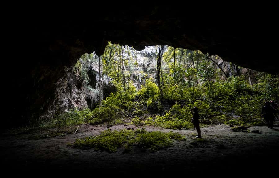 Yogyakarta: Jomblang & Pindul Cave Guided Adventure - Swimming, waterfall jumps, and the Oyo River