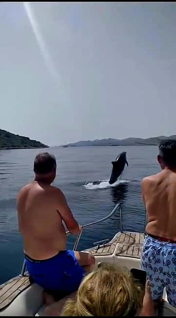 Zadar: Adventure on 6 islands, 3 lagoons, 1 cave, Bio Fruits - Leaving from Obala kneza Branimira 27