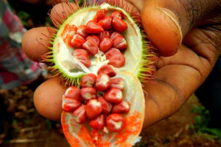 Zanzibar: Mnemba Island, Prison Island and Salaam Cave Tour - Is $150 per person fair value?