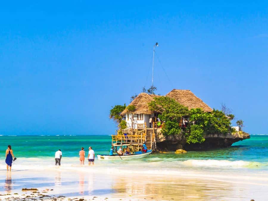 Zanzibar: Mnemba Island, Prison Island and Salaam Cave Tour - Who should choose this Zanzibar day tour?